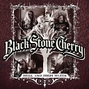 Black Stone Cherry - Big City Lights
