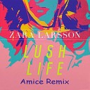 Zara Larsson - Lush Life DJ Amice Remix