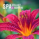 Sk nhet spa zon - Ren stillhet