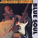 Joe Louis Walker - T L C