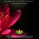 Elite Mind Reprogramming Self Transformation… - Harmonic Symphony Deep Sleep Meditation