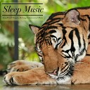 Easy Sleep Music Sleep Music Dreams… - Ocean Blues