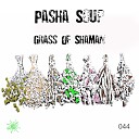 Pasha Soup - Grass Of Shaman