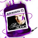 Paul van Dyk Alex M O R P H - In Circles Alex M O R P H Remix Album Edit