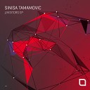 Sinisa Tamamovic - Visitors Original Mix