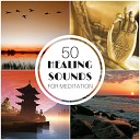 Mantra Deva - Center of the Earth Chakra Guided Meditation…