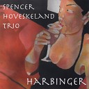 Spencer Hoveskeland Trio - Vines and Velvet