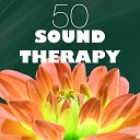 Sound Therapy Music Specialists - Falling Asleep Say Goodnight