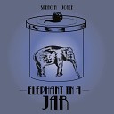 Spencer Joyce - Elephant in a Jar