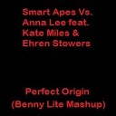 Smart Apes Vs Anna Lee feat Kate Miles Ehren… - Perfect Origin Benny Lite Mashup
