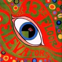 The 13th Floor Elevators - You Don t Know How Young You Are