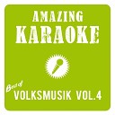 Amazing Karaoke - So a sch ner Tag Fliegerlied Karaoke Version Originally Performed By…