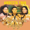 Andesta Trio - Unang Sai Hohom