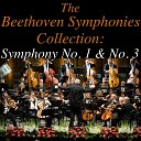 Novosibirsk Philharmonic Orchestra - Symphony No 1 in C Major Op 21 Menuetto Allegro molto e…