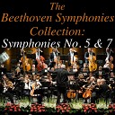Sinfonia Varsovia - Symphony No 5 In C Minor Op 67 Allegro Con…