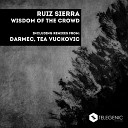 Ruiz Sierra - Wisdom Of The Crowd Tea Vuckovic Remix