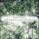 Mindfulness Slow Life Selection - Empty Can Hearing Original Mix
