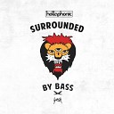 Hollaphonic - Surrounded by Bass Extended Version