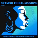 DJ Pruess feat Marysa Alfaia - Profundamente Miguel Pose Tribal House Mix Feat Marysa…
