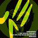 Domineeky Tru Roots Project - Working Hard For The Hand Dance Remix