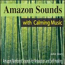 John Story - Calming Piano in the Amazon Jungle
