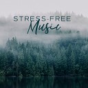 Anti Stress Music Zone - Your Wellbeing