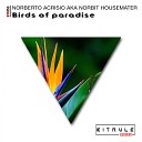 Norberto Acrisio aka Norbit Housemaster - Birds of Paradise Original Mix