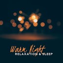 Soothing Chill Out for Insomnia Trouble Sleeping Music Universe Deep Sleep… - In the Wood