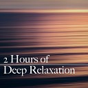 Sleep Sounds of Nature Zen Music Garden - Sleep on Life For Relaxation