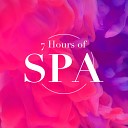 Massage Therapy Music Meditation Spa - Tranquil Harmonies