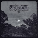 Tundra - End of an Era