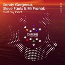 Sandy Gorgeous Steve Faets Mr Franek - Trust My Beat Radio Edit