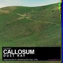 Callosum - Overture LTHL Remix