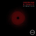 Gaston Zani Sonate - Moodizm Original Mix