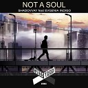 Shadovvay feat Evgenia Indigo - Not A Soul Original Mix