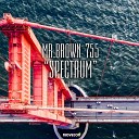 Mr Brown 755 - Electro Original Mix