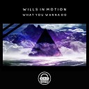 Wills In Motion - What You Wanna Do Original Mix