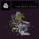 Robert Vasilev - Too Much Space Original Mix