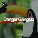 DJ Csemak - Danger Gangsta Original Mix