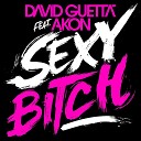 Akon - Sexy Chick Prod by David Guetta Instrumental