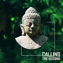 Buddha Music Sanctuary - Reprogram Your Mind