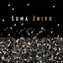 Shuma - Pesenka Original Mix