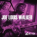 Joe Louis Walker s Blues Consp - You re Gonna Make Me Cry