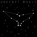 Unkempt Whale - All Night Long
