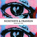 Northeye Frankin - Can t Begin to Say