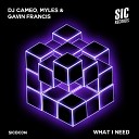 DJ Cameo Myles Gavin Francis - What I Need