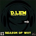 D Lem - Reason of Why Max Briant Cosmo Mix