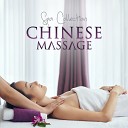 Pure Massage Music Consort - Well being
