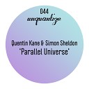 Quentin Kane Simon Sheldon - Funk N Effect