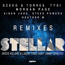 Disco Killerz And Liquid Todd Ft Jimmy Gnecco - Stellar Morgan Page Remix
